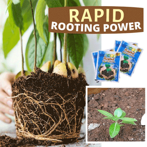 Rapid Rooting Powder