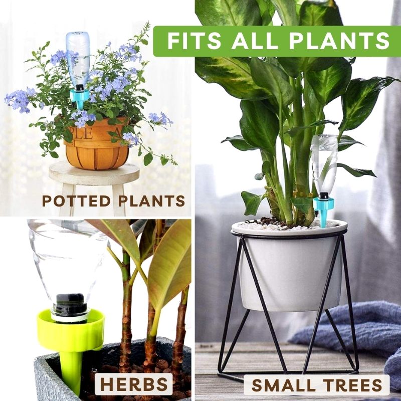 Plant Self Watering Spike