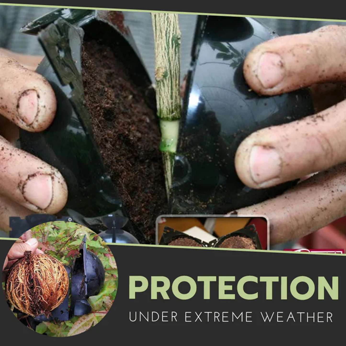 🍀2025 Upgraded🍀 Rooting Propagation Box with Drain🪴