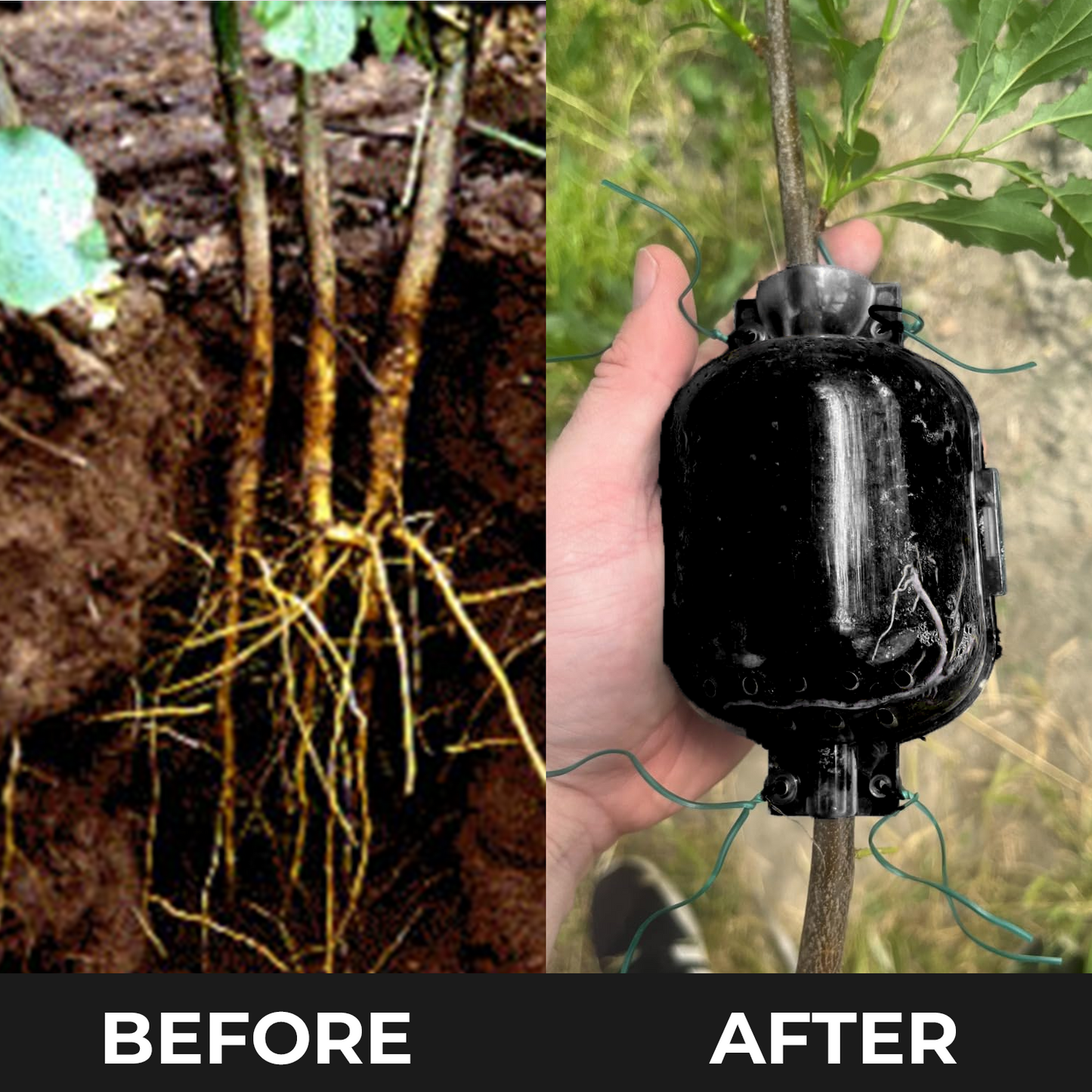 🍀2025 Upgraded🍀 Rooting Propagation Box with Drain🪴