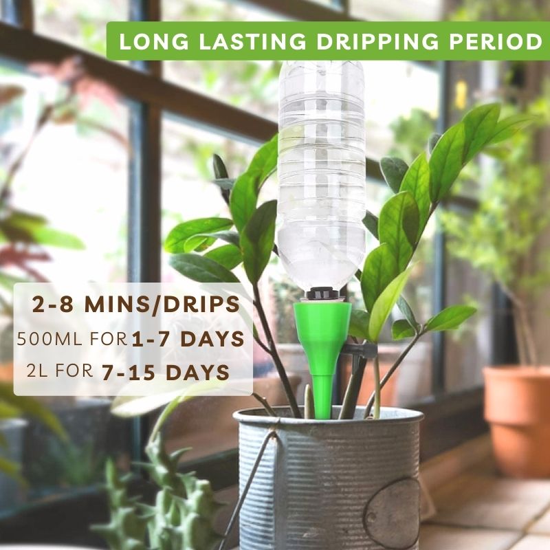 Plant Self Watering Spike