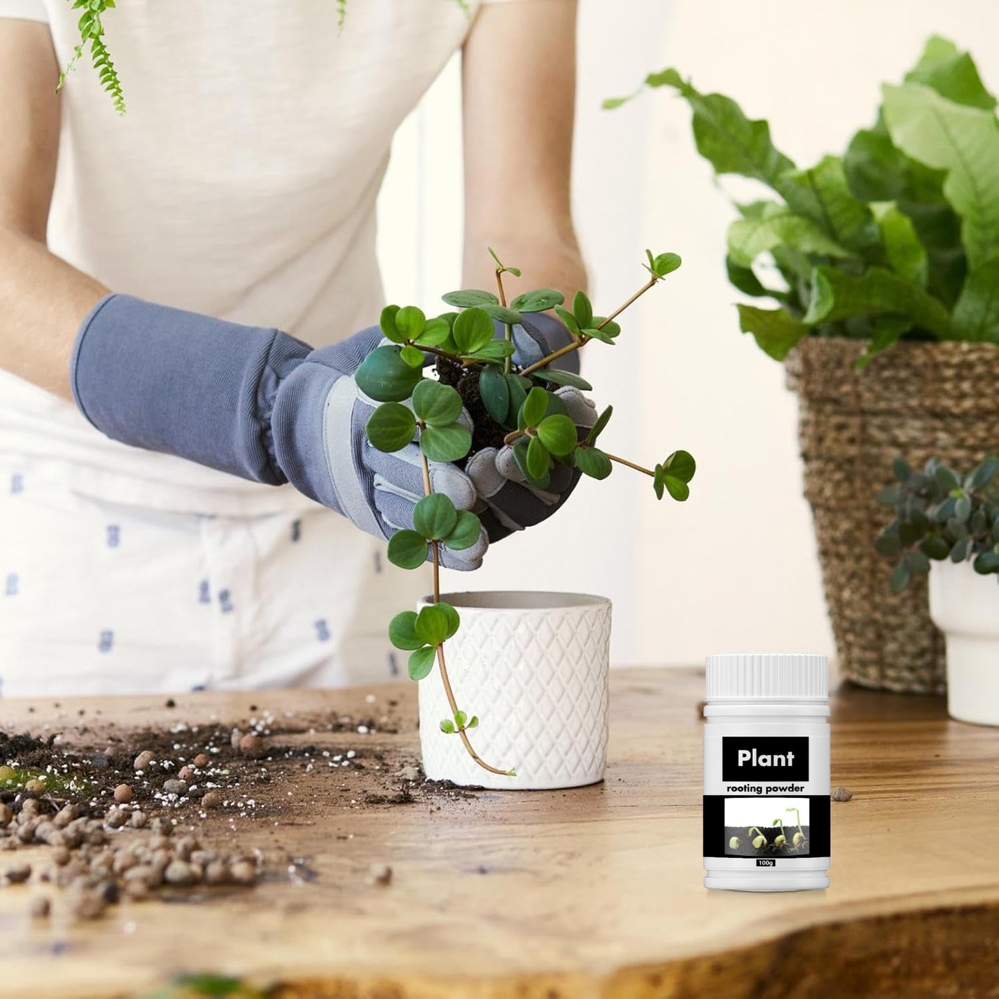 TurboRoot Accelerator Powder, Rooting Hormone Growth Enhancer Garden Fertilizers