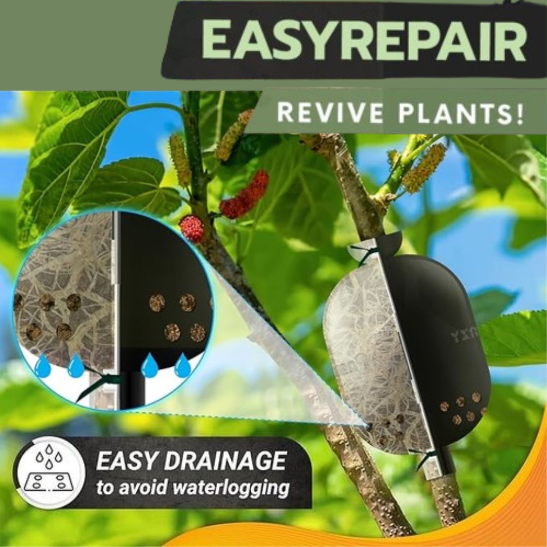 🍀2025 Upgraded🍀 Rooting Propagation Box with Drain🪴