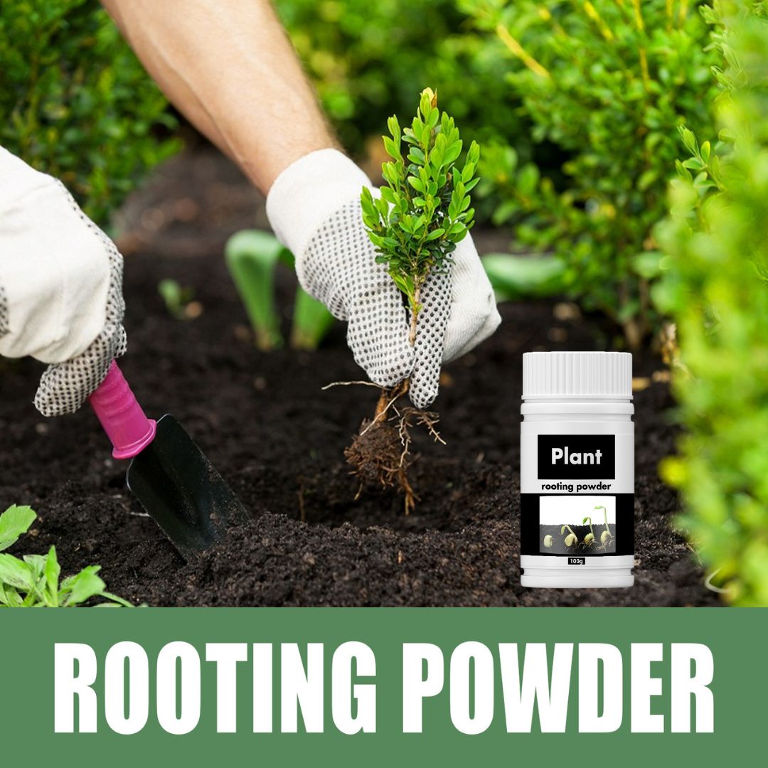 TurboRoot Accelerator Powder, Rooting Hormone Growth Enhancer Garden Fertilizers