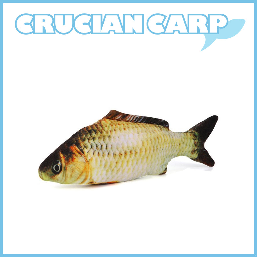 Dobshow® Pet Floppy Fish