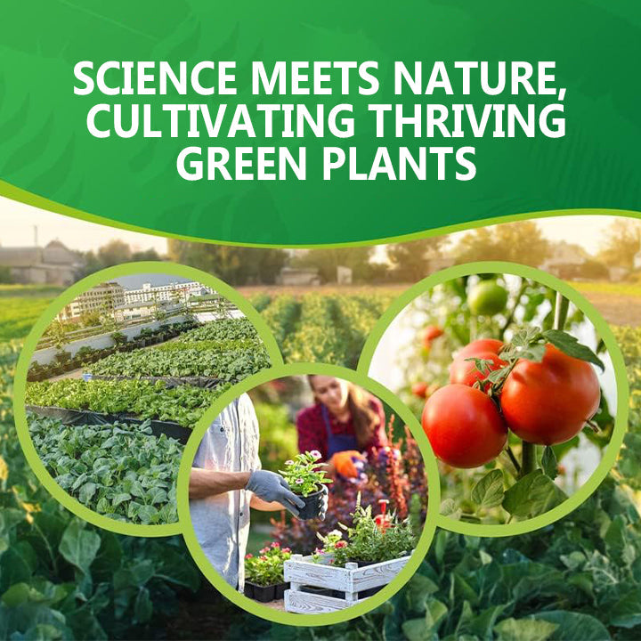 Nurbini® Slow-Release Plant Fertilizer Sticks