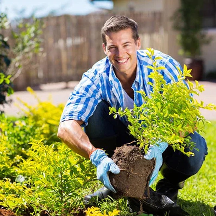 Soil Activated Treasure for Garden Beds, Flower Mixes, Lawns and Gardens, Soil Improvement, Nutrient Absorption Improvement