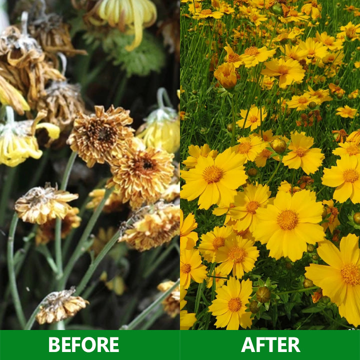 Nurbini® Slow-Release Plant Fertilizer Sticks