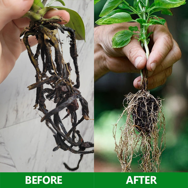 Nurbini® Slow-Release Plant Fertilizer Sticks