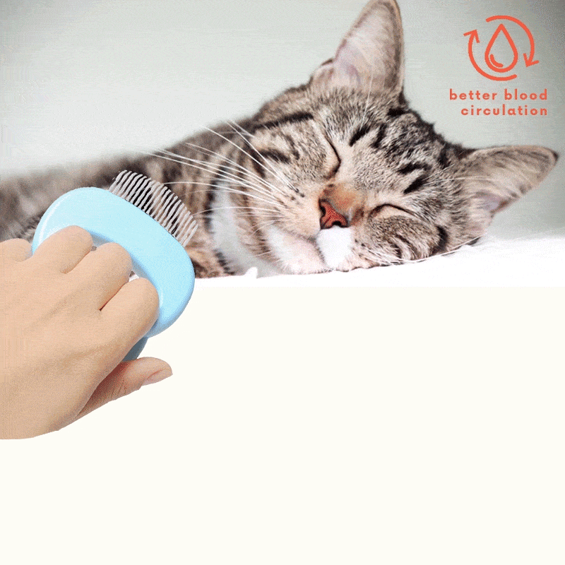 Dobshow® Pet Hair Massaging Comb
