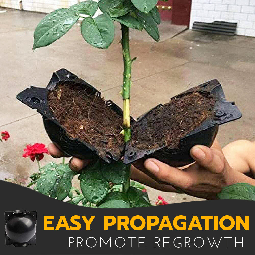 🍀2025 Upgraded🍀 Rooting Propagation Box with Drain🪴
