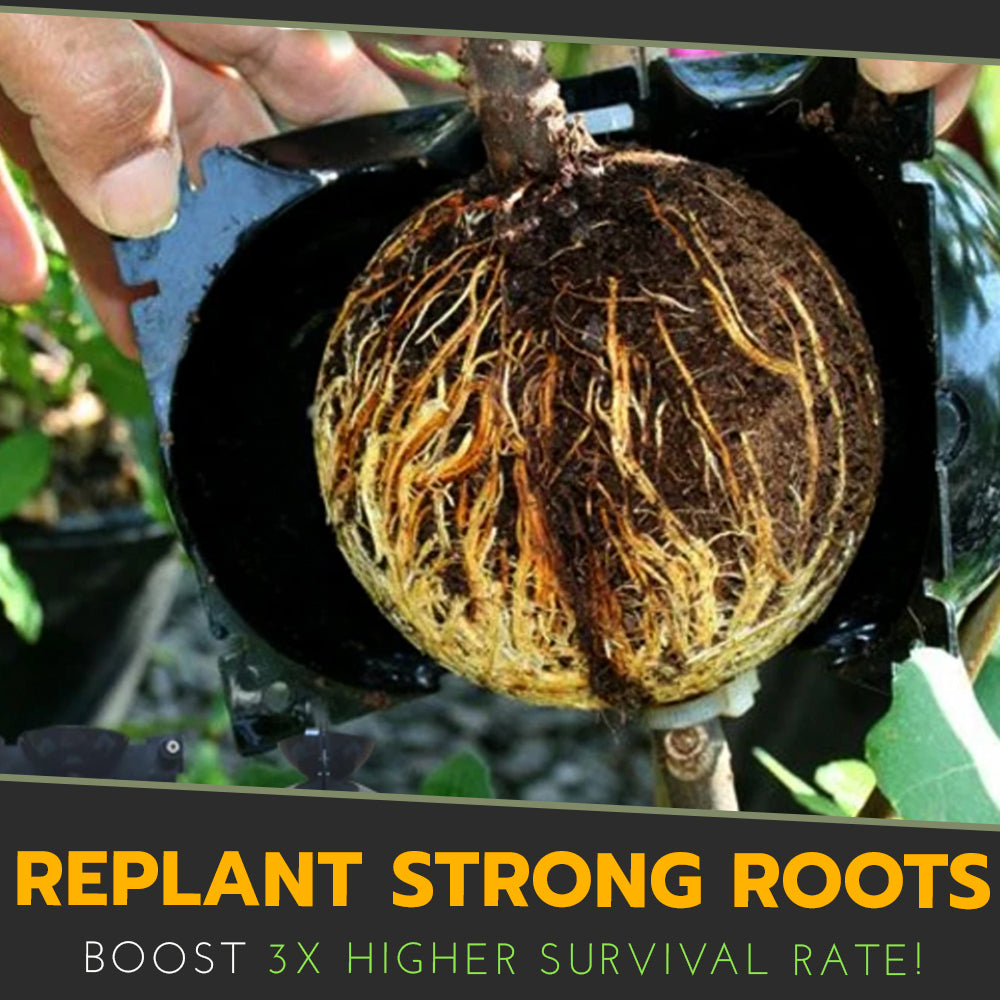 🍀2025 Upgraded🍀 Rooting Propagation Box with Drain🪴