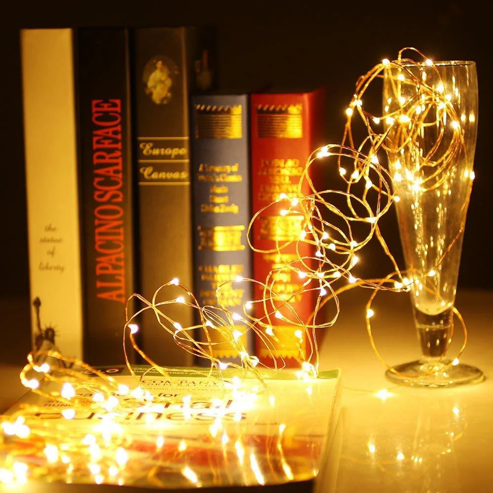 Led Fairy Lights (5m)