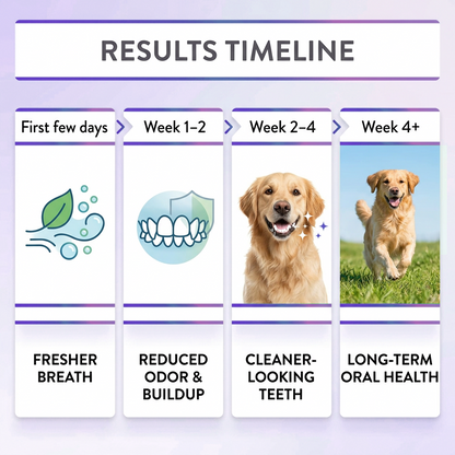 🔥𝙎𝙥𝙚𝙘𝙞𝙖𝙡 𝙋𝙧𝙤𝙢𝙤𝙩𝙞𝙤𝙣 | Healrize® PawBiome 3-in-1 Pet Oral Spray– Probiotic & Herbal Dental Care, Plaque Control & Fresh Breath for Dogs & Cats