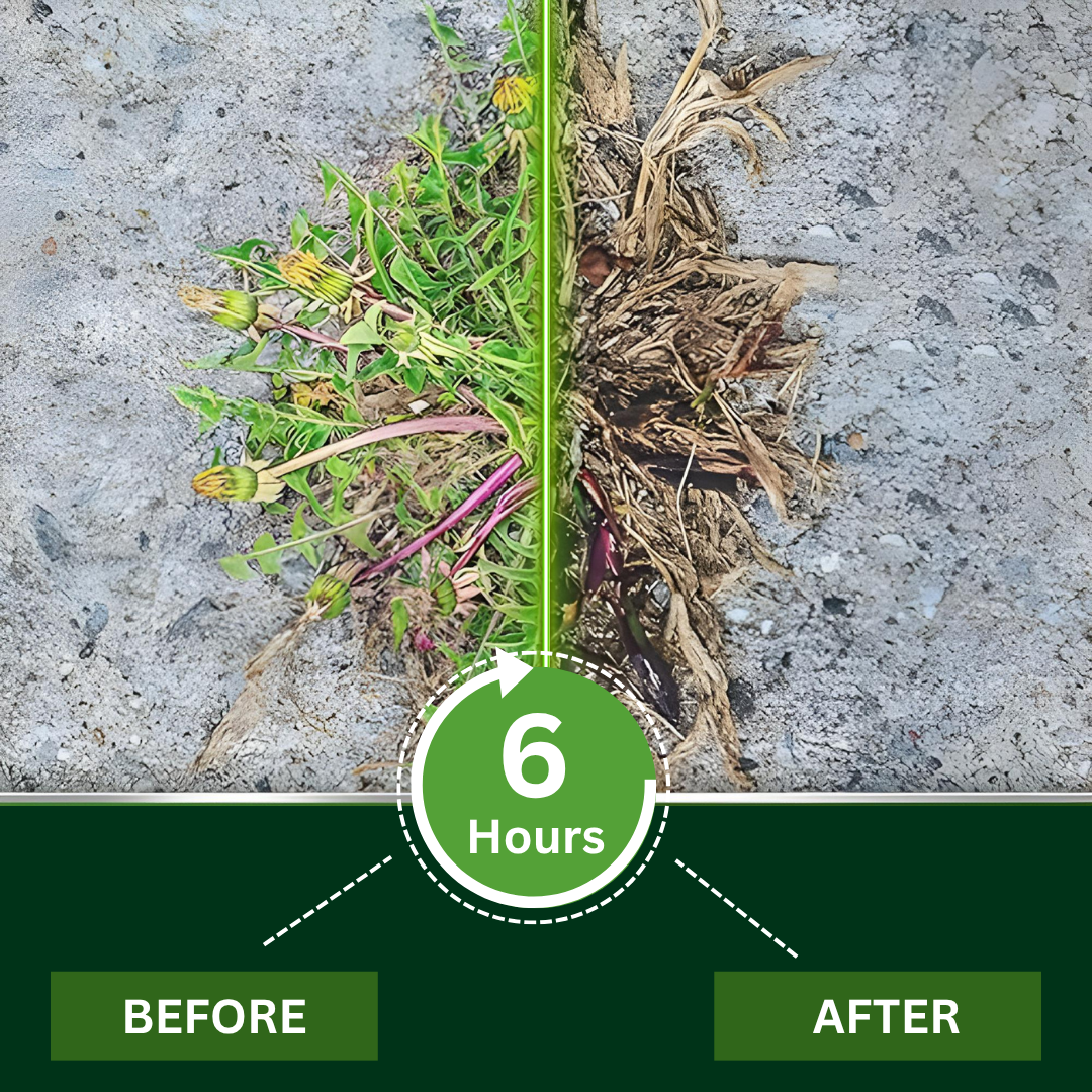 🔥Hot Sale- 70%OFF End in 10 Mins🌿 | Cvreoz® 2 in 1 Max Power Herbicide