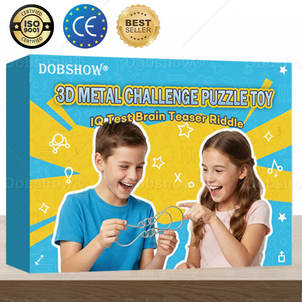 Dobshow® 3D Metal Challenge Puzzle Toy