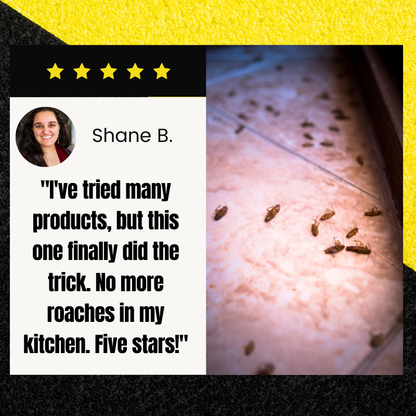 NOWORDUP® QuikCatch Killer RoachAce Bait Station