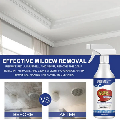 Cithway™ Highly Effective Mould Removal Spray - Prevents Mould Regrowth