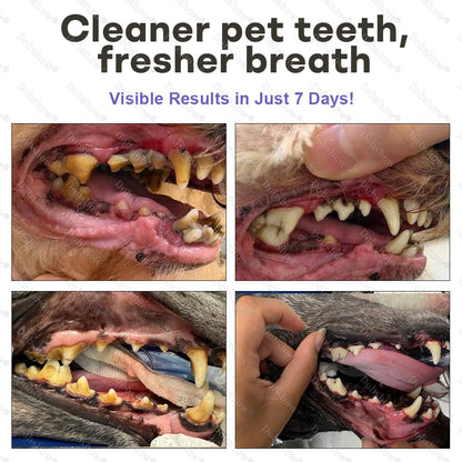 🔥𝙎𝙥𝙚𝙘𝙞𝙖𝙡 𝙋𝙧𝙤𝙢𝙤𝙩𝙞𝙤𝙣 | Healrize® PawBiome 3-in-1 Pet Oral Spray– Probiotic & Herbal Dental Care, Plaque Control & Fresh Breath for Dogs & Cats