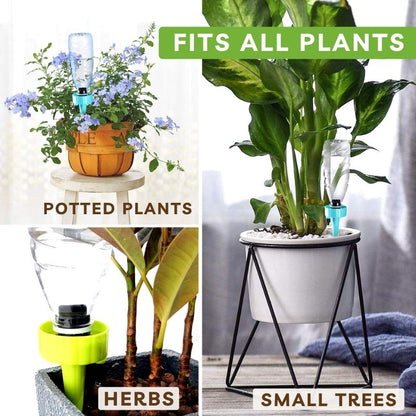 Plant Self Watering Spike