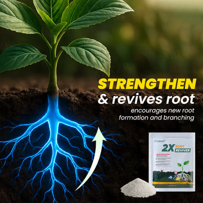 Cvreoz® 2X Root Reviver