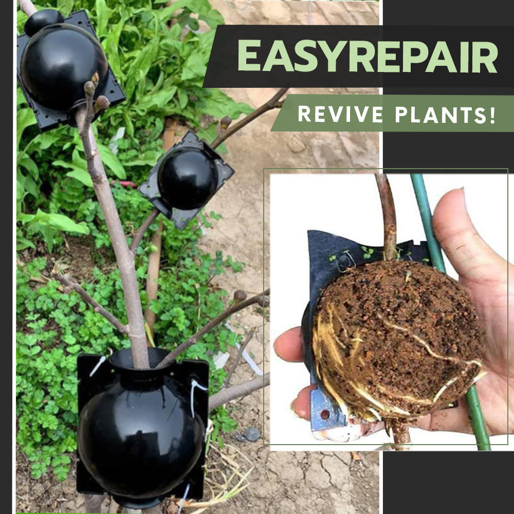Air Layering Plant Boxes (3PCS)