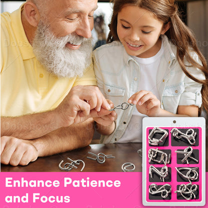 Dobshow® 3D Metal Challenge Puzzle Toy
