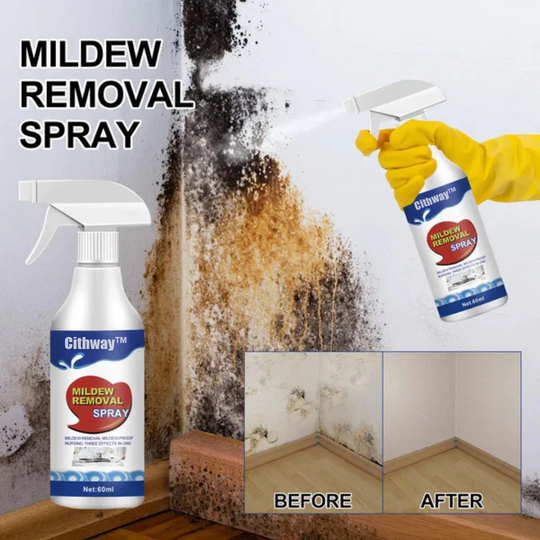 Cithway™ Highly Effective Mould Removal Spray - Prevents Mould Regrowth