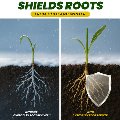Cvreoz® 2X Root Reviver