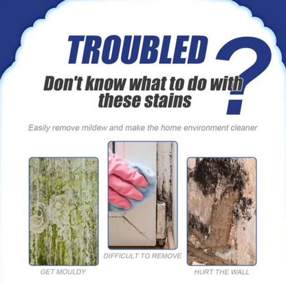Cithway™ Highly Effective Mould Removal Spray - Prevents Mould Regrowth