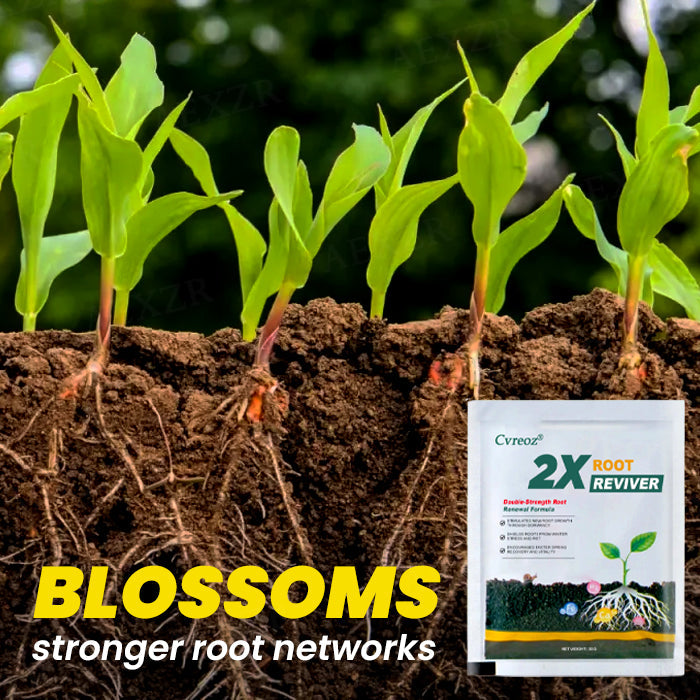 Cvreoz® 2X Root Reviver