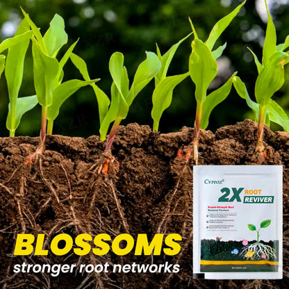 Cvreoz® 2X Root Reviver