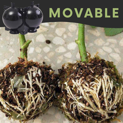 Air Layering Plant Boxes (3PCS)