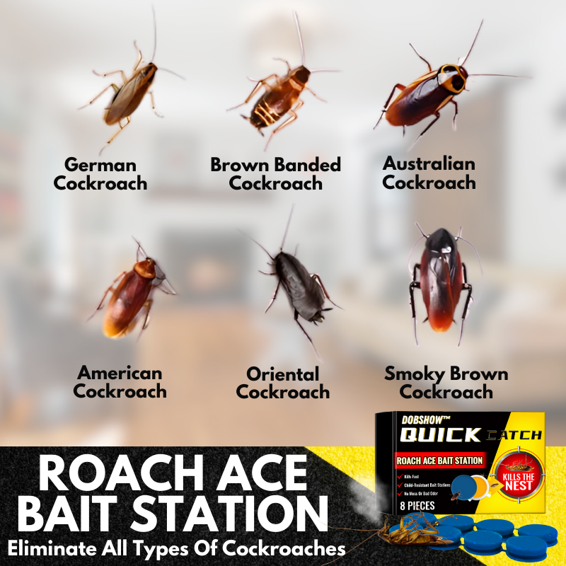 NOWORDUP® QuikCatch Killer RoachAce Bait Station