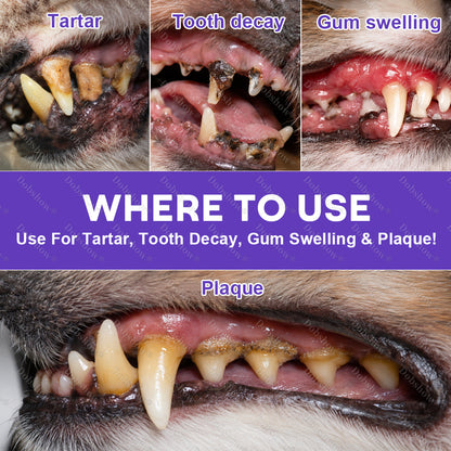 🔥𝙎𝙥𝙚𝙘𝙞𝙖𝙡 𝙋𝙧𝙤𝙢𝙤𝙩𝙞𝙤𝙣 | Healrize® PawBiome 3-in-1 Pet Oral Spray– Probiotic & Herbal Dental Care, Plaque Control & Fresh Breath for Dogs & Cats