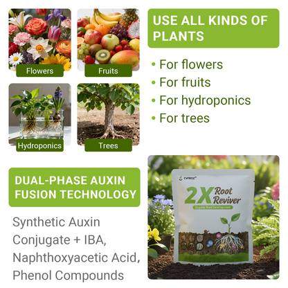Cvreoz®2X Root Reviver