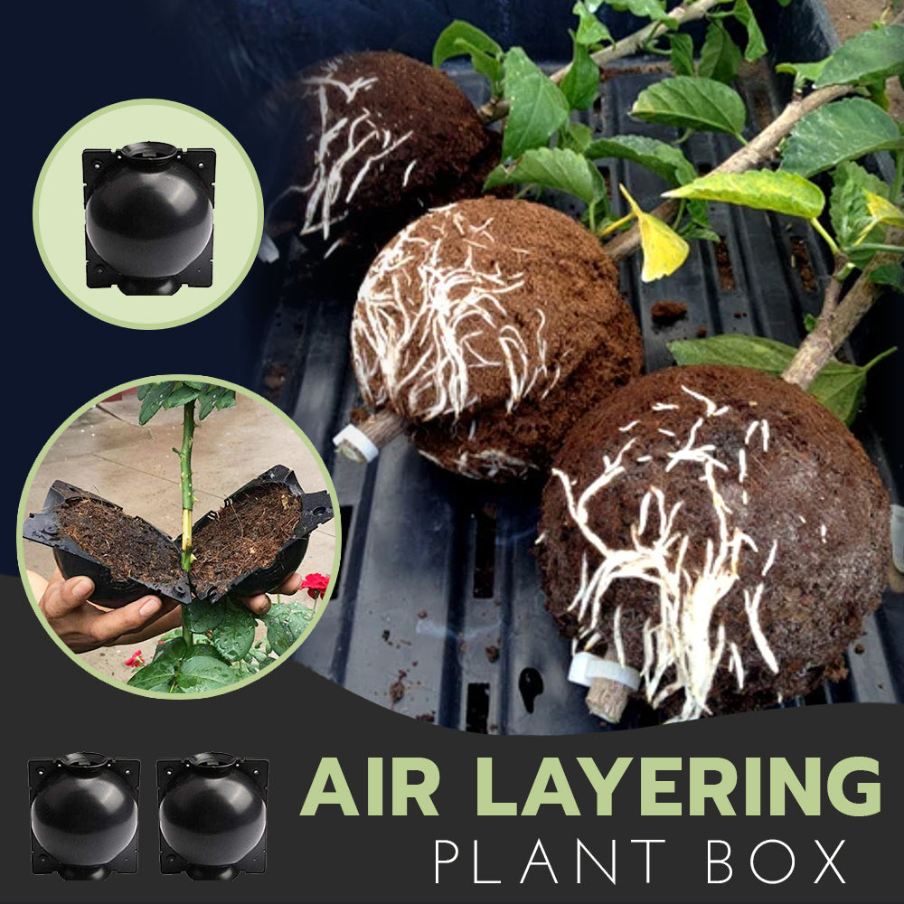 Air Layering Plant Boxes (3PCS)