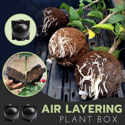 Air Layering Plant Boxes (3PCS)