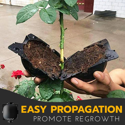 🍀2025 Upgraded🍀 Rooting Propagation Box with Drain🪴