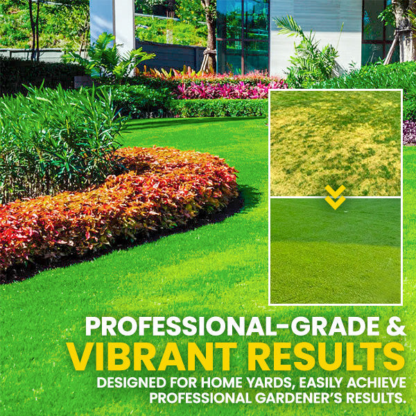 Nurbini®  Lawn Grass Sunny Spray