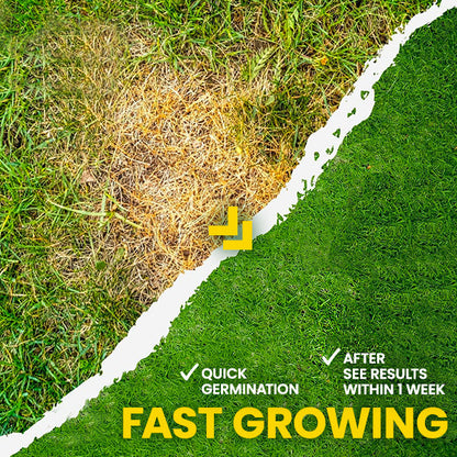 Nurbini®  Lawn Grass Sunny Spray
