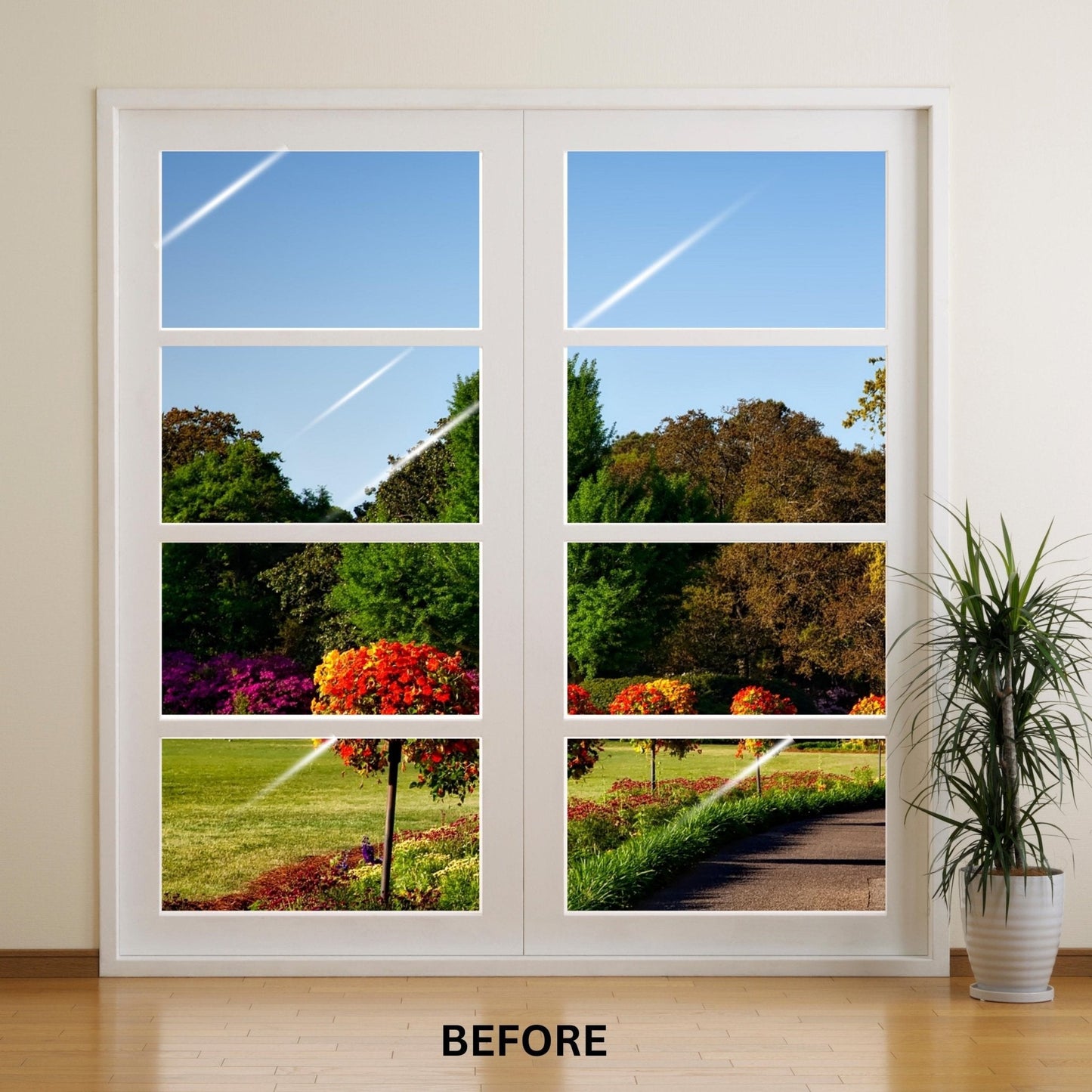 NOWORDUP® Artment Spectrum Rainbow Window Film