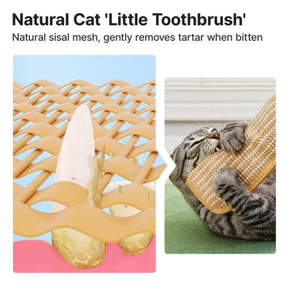 (𝙎𝙥𝙚𝙘𝙞𝙖𝙡 𝙋𝙧𝙤𝙢𝙤𝙩𝙞𝙤𝙣💖)MomoNook Catnip Kicker Toy: 6000mg Organic Catnip & Durable Sisal Scratching Toy for Indoor Cats & Kittens