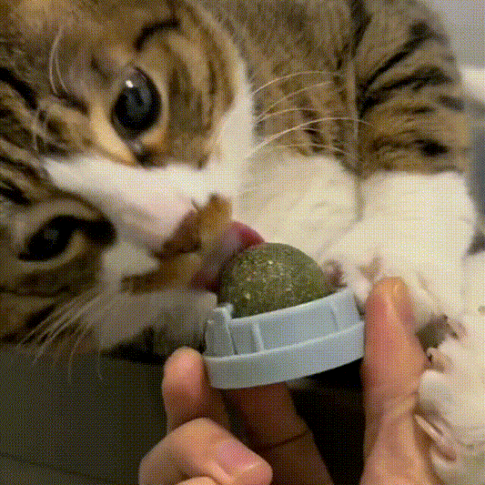 Catnip Ball for Cats, Extra Cat Energy Ball, Edible Toys, Lick Safe Healthy Kitten Chew & Teeth Cleaning Dental Toys