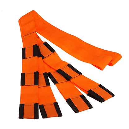 Dobshow® Furniture Lifting Straps (UP TO 800 POUND)